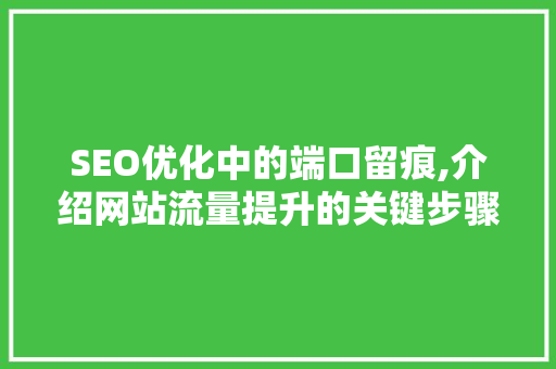 SEO优化中的端口留痕,介绍网站流量提升的关键步骤