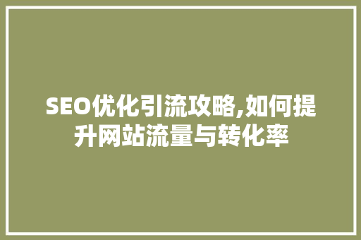 SEO优化引流攻略,如何提升网站流量与转化率