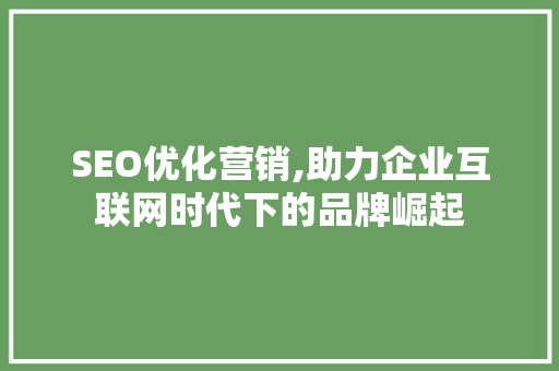 SEO优化营销,助力企业互联网时代下的品牌崛起