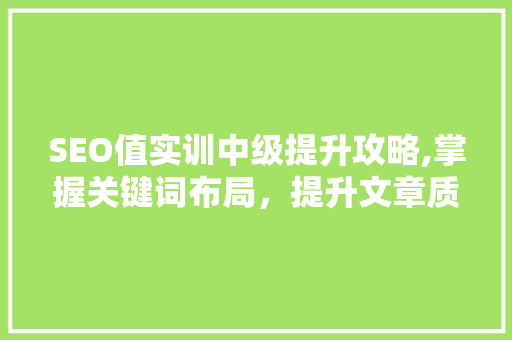SEO值实训中级提升攻略,掌握关键词布局，提升文章质量