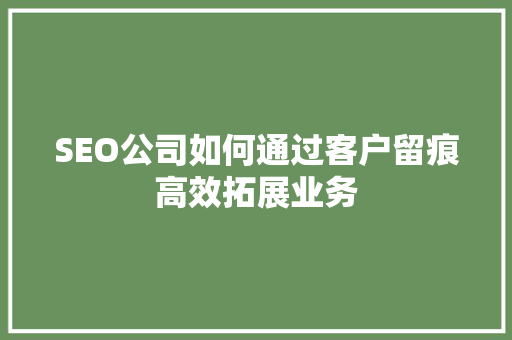 SEO公司如何通过客户留痕高效拓展业务