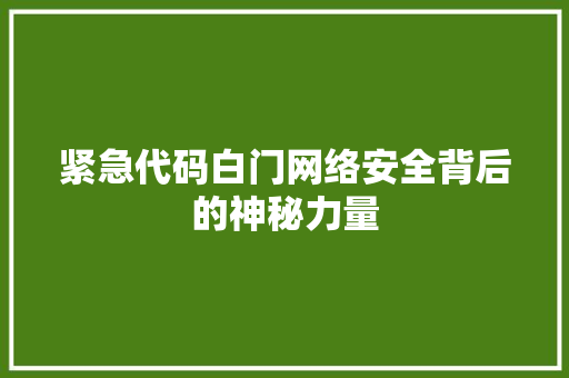 紧急代码白门网络安全背后的神秘力量