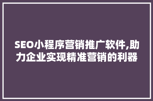 SEO小程序营销推广软件,助力企业实现精准营销的利器