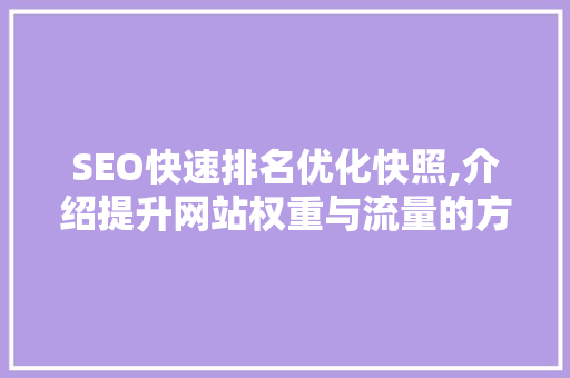 SEO快速排名优化快照,介绍提升网站权重与流量的方法
