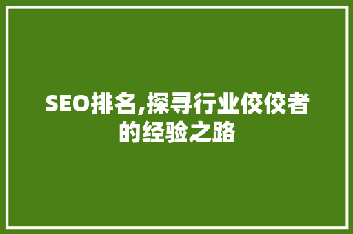 SEO排名,探寻行业佼佼者的经验之路