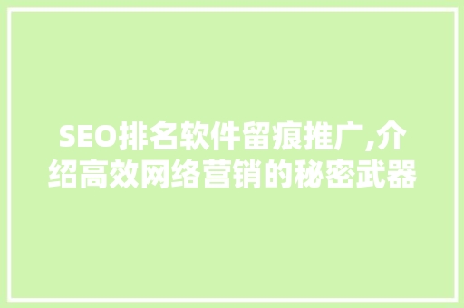 SEO排名软件留痕推广,介绍高效网络营销的秘密武器