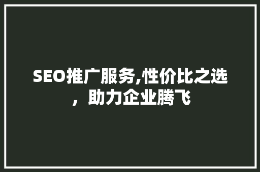 SEO推广服务,性价比之选，助力企业腾飞