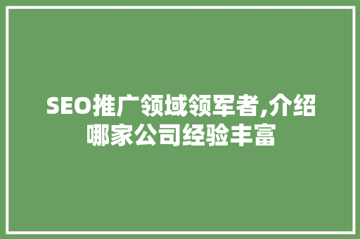SEO推广领域领军者,介绍哪家公司经验丰富