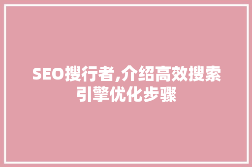 SEO搜行者,介绍高效搜索引擎优化步骤