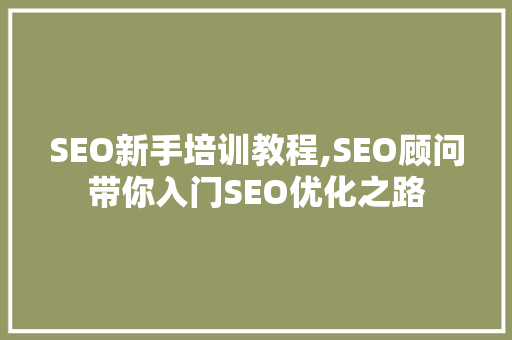 SEO新手培训教程,SEO顾问带你入门SEO优化之路