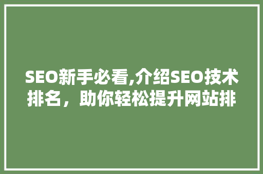 SEO新手必看,介绍SEO技术排名，助你轻松提升网站排名