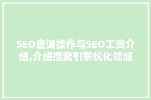 SEO查询操作与SEO工资介绍,介绍搜索引擎优化领域的黄金法则