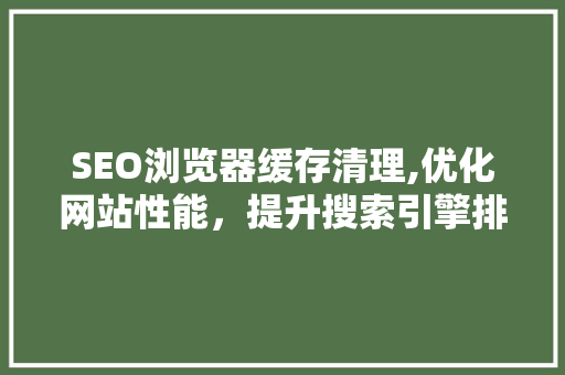 SEO浏览器缓存清理,优化网站性能，提升搜索引擎排名的关键步骤