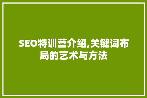SEO特训营介绍,关键词布局的艺术与方法