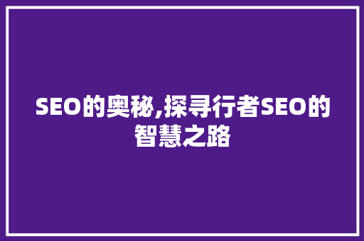 SEO的奥秘,探寻行者SEO的智慧之路