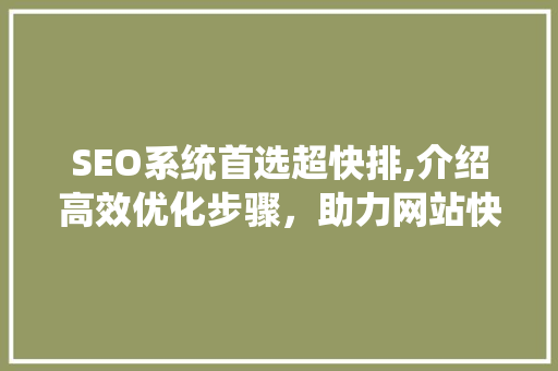 SEO系统首选超快排,介绍高效优化步骤，助力网站快速提升排名