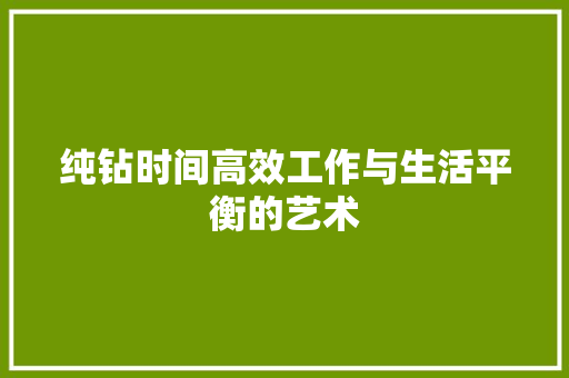 纯钻时间高效工作与生活平衡的艺术