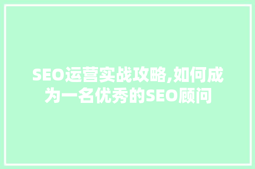 SEO运营实战攻略,如何成为一名优秀的SEO顾问