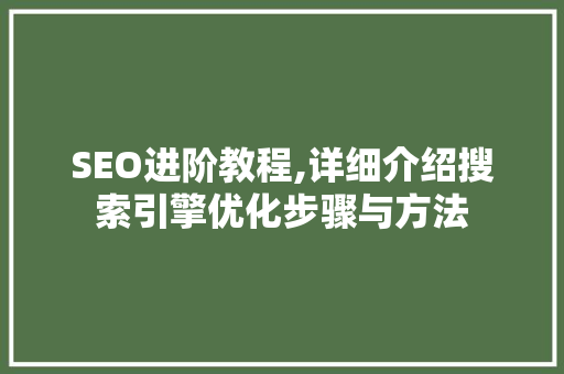 SEO进阶教程,详细介绍搜索引擎优化步骤与方法
