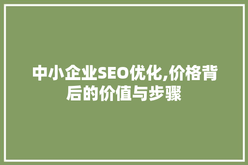 中小企业SEO优化,价格背后的价值与步骤