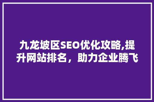 九龙坡区SEO优化攻略,提升网站排名，助力企业腾飞