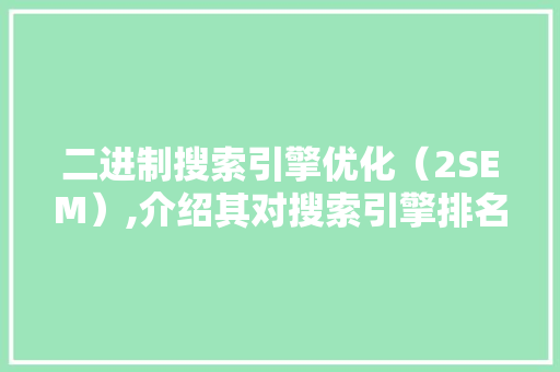 二进制搜索引擎优化（2SEM）,介绍其对搜索引擎排名的影响