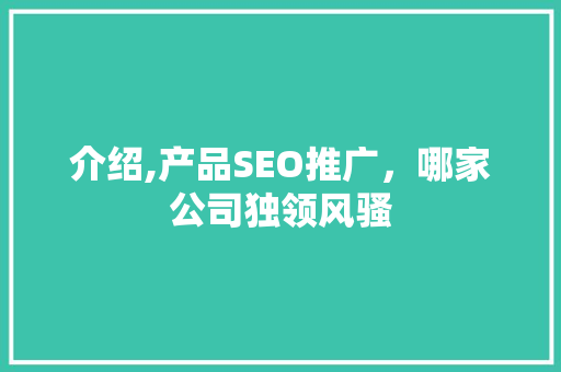 介绍,产品SEO推广，哪家公司独领风骚