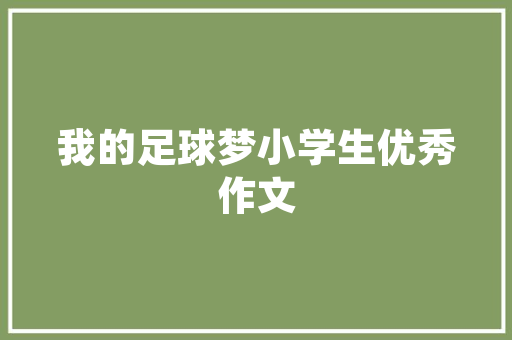 介绍SEO优化,哪家公司独占鳌头，引领行业风向标