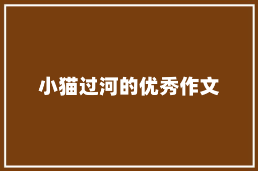 介绍SEO优化服务商排名,如何选择优质服务商助力网站提升排名