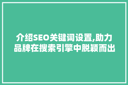 介绍SEO关键词设置,助力品牌在搜索引擎中脱颖而出