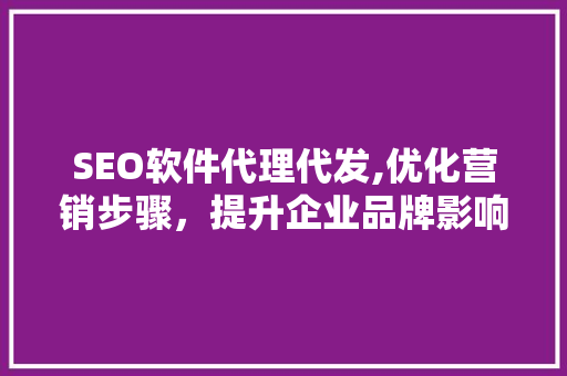 SEO软件代理代发,优化营销步骤，提升企业品牌影响力