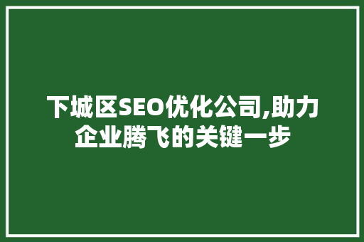 下城区SEO优化公司,助力企业腾飞的关键一步