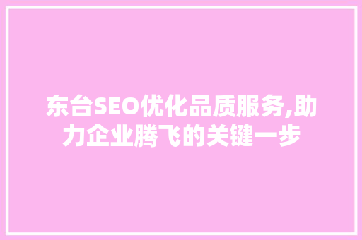 东台SEO优化品质服务,助力企业腾飞的关键一步