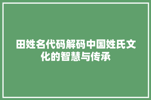 田姓名代码解码中国姓氏文化的智慧与传承