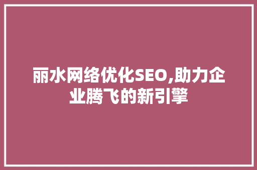 丽水网络优化SEO,助力企业腾飞的新引擎