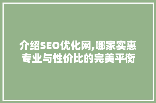 介绍SEO优化网,哪家实惠专业与性价比的完美平衡