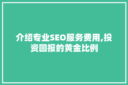 介绍专业SEO服务费用,投资回报的黄金比例