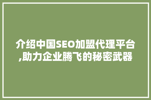 介绍中国SEO加盟代理平台,助力企业腾飞的秘密武器