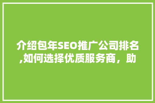 介绍包年SEO推广公司排名,如何选择优质服务商，助力企业腾飞