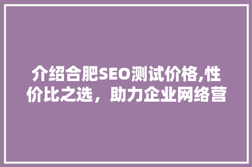 介绍合肥SEO测试价格,性价比之选，助力企业网络营销