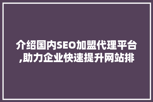 介绍国内SEO加盟代理平台,助力企业快速提升网站排名，抢占市场先机