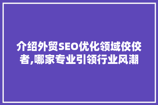 介绍外贸SEO优化领域佼佼者,哪家专业引领行业风潮