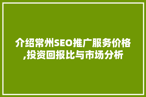 介绍常州SEO推广服务价格,投资回报比与市场分析