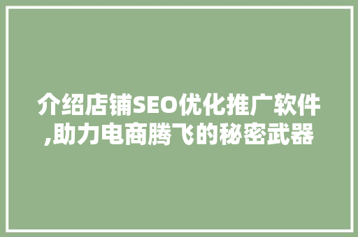 介绍店铺SEO优化推广软件,助力电商腾飞的秘密武器