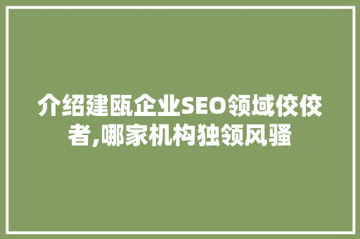 介绍建瓯企业SEO领域佼佼者,哪家机构独领风骚