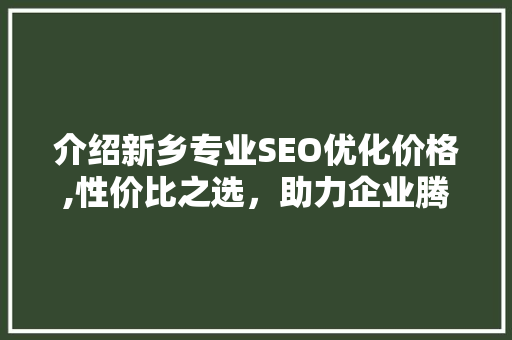 介绍新乡专业SEO优化价格,性价比之选，助力企业腾飞