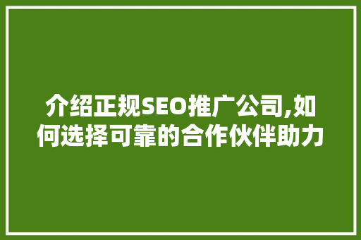 介绍正规SEO推广公司,如何选择可靠的合作伙伴助力企业腾飞