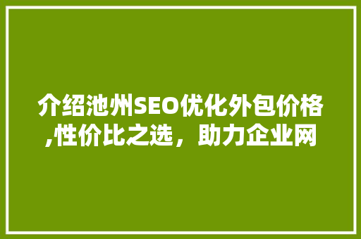 介绍池州SEO优化外包价格,性价比之选，助力企业网络营销腾飞