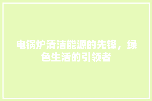 电锅炉清洁能源的先锋，绿色生活的引领者