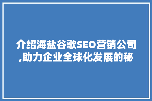 介绍海盐谷歌SEO营销公司,助力企业全球化发展的秘密武器